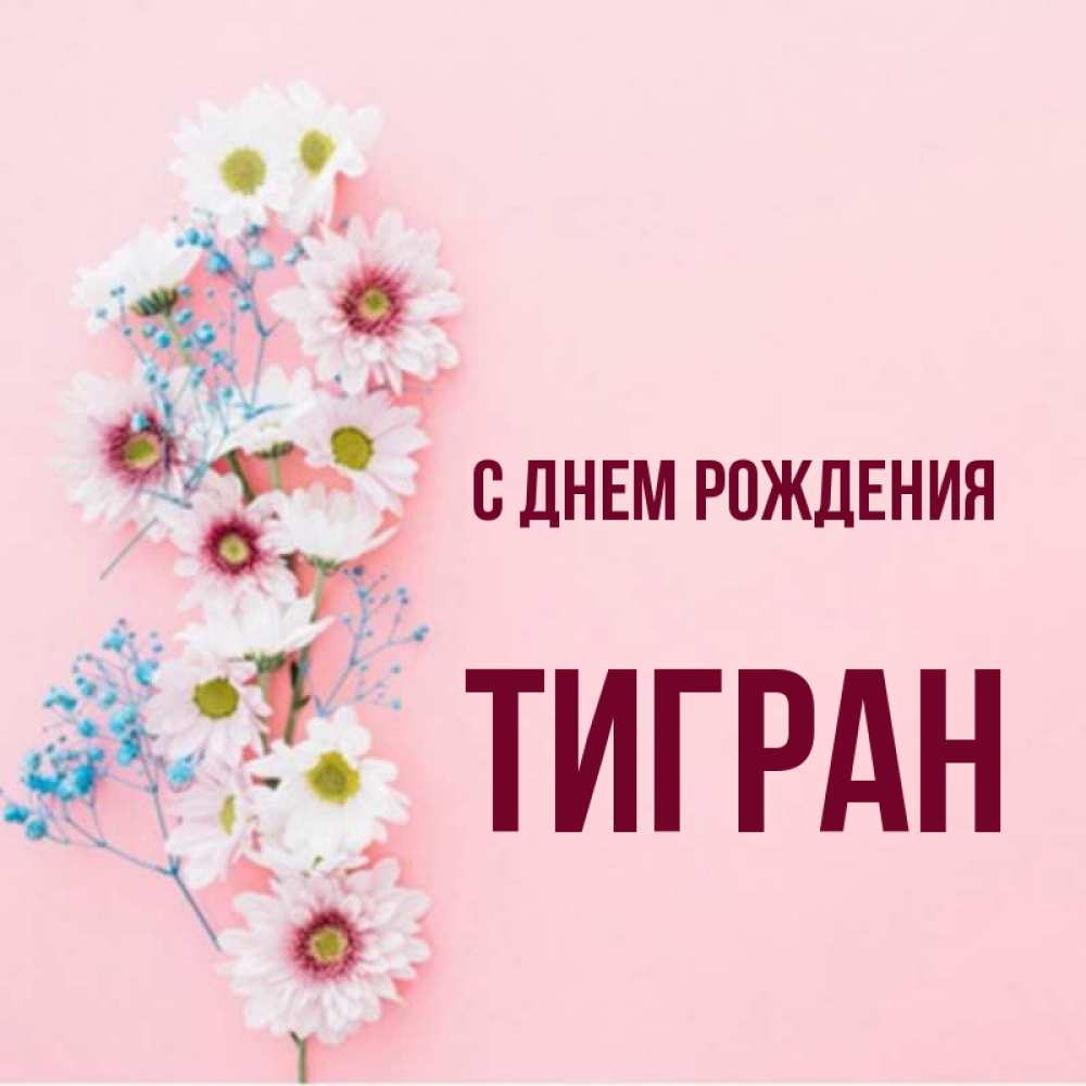 Тигран с днем рождения картинки