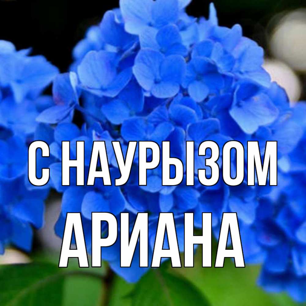 Открытка на каждый день с именем, Ариана С наурызом синие цветы Прикольная открытка с пожеланием онлайн скачать бесплатно 