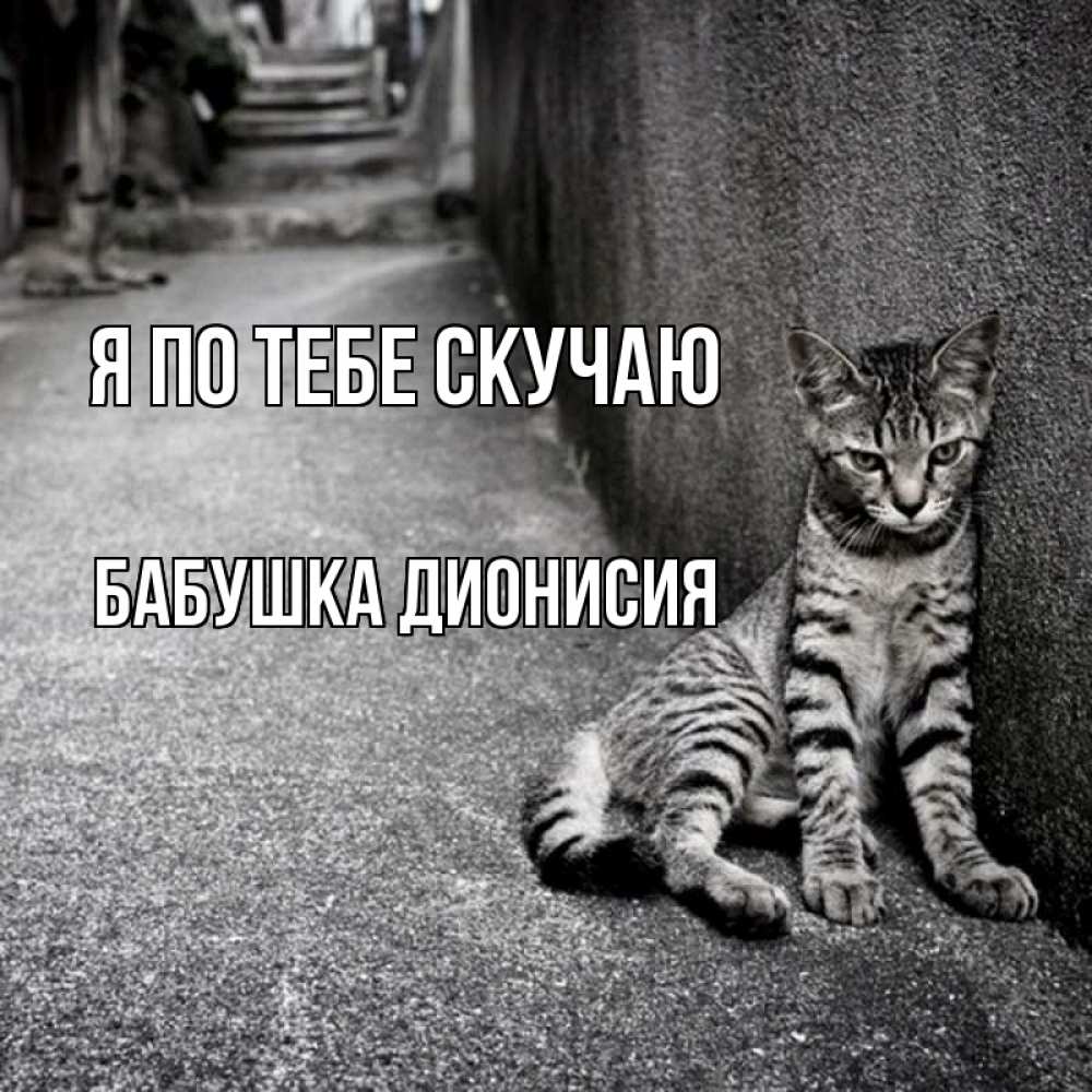 Открытка на каждый день с именем, Бабушка-Дионисия Я по тебе скучаю одиноко котику Прикольная открытка с пожеланием онлайн скачать бесплатно 