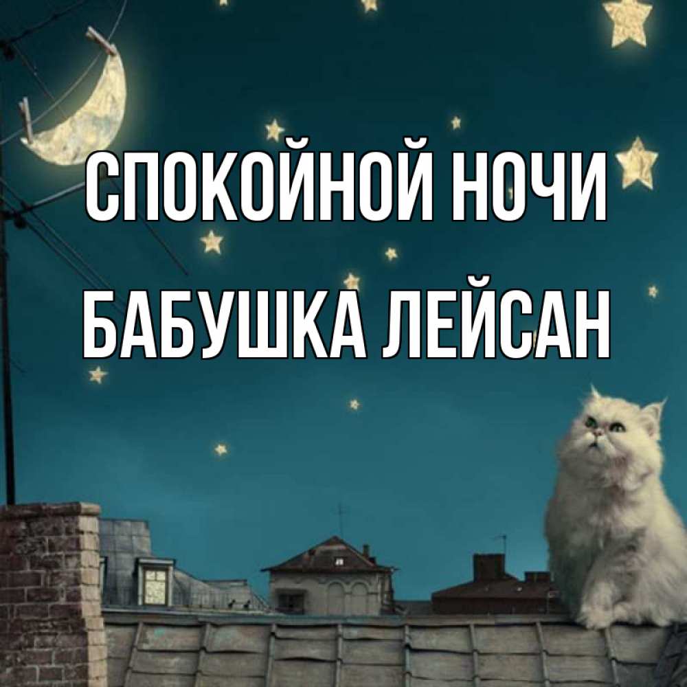 Открытка на каждый день с именем, Бабушка-Лейсан Спокойной ночи белый кот сидит на крыше Прикольная открытка с пожеланием онлайн скачать бесплатно 