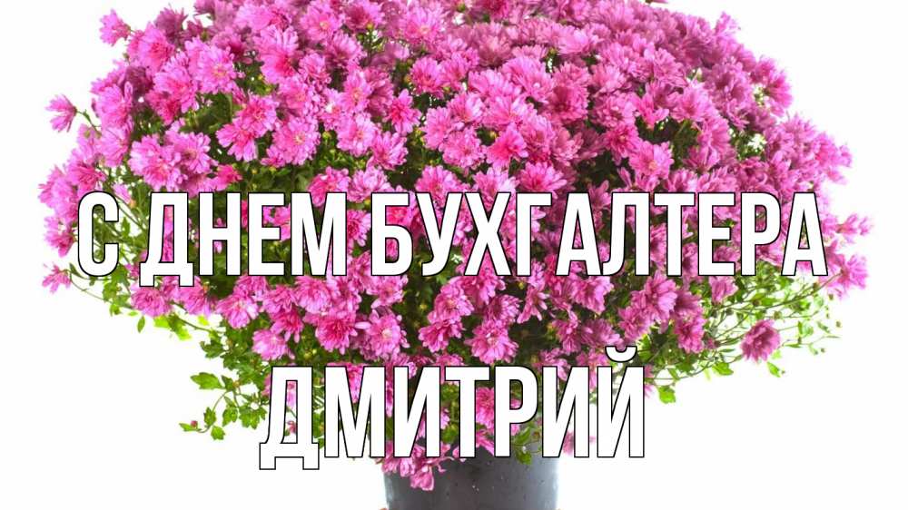 Открытка на каждый день с именем, Дмитрий С днем бухгалтера с днем бухгалтера Прикольная открытка с пожеланием онлайн скачать бесплатно 