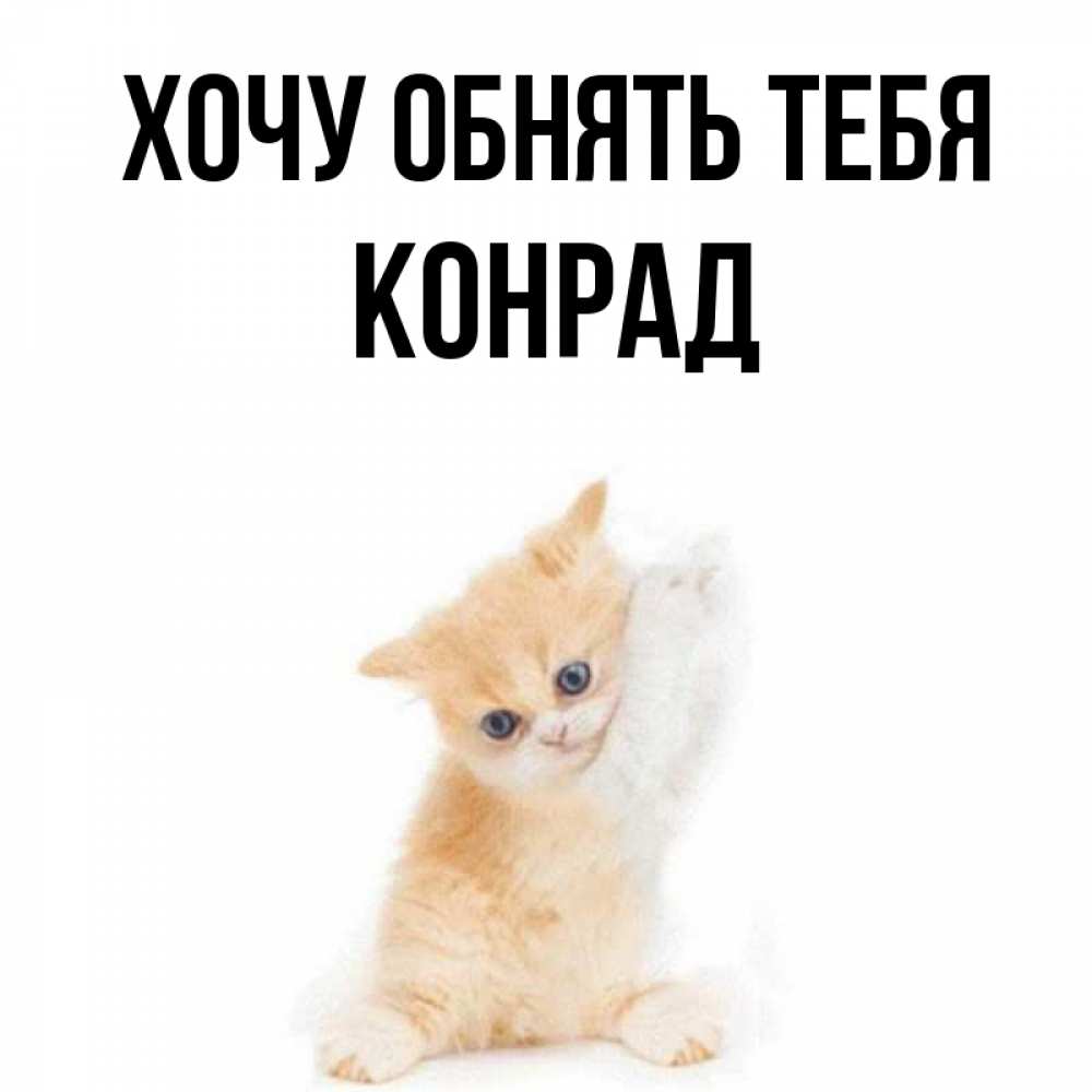 Открытка на каждый день с именем, Конрад Хочу обнять тебя я хочу очень скорее обнимаешек Прикольная открытка с пожеланием онлайн скачать бесплатно 