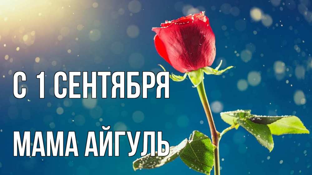Открытка на каждый день с именем, Мама-Айгуль С 1 сентября с днем знаний Прикольная открытка с пожеланием онлайн скачать бесплатно 