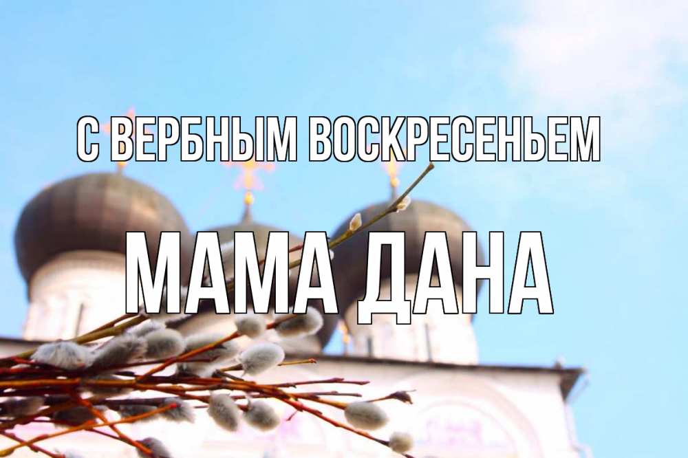 Открытка на каждый день с именем, Мама-Дана С вербным воскресеньем верба Прикольная открытка с пожеланием онлайн скачать бесплатно 