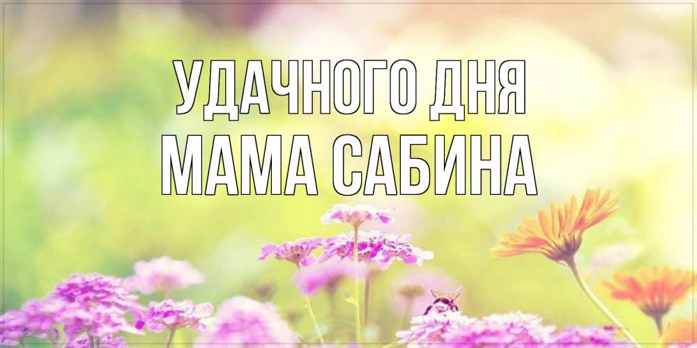 Открытка на каждый день с именем, Мама-Сабина Удачного дня красивая открытка с летней темой Прикольная открытка с пожеланием онлайн скачать бесплатно 