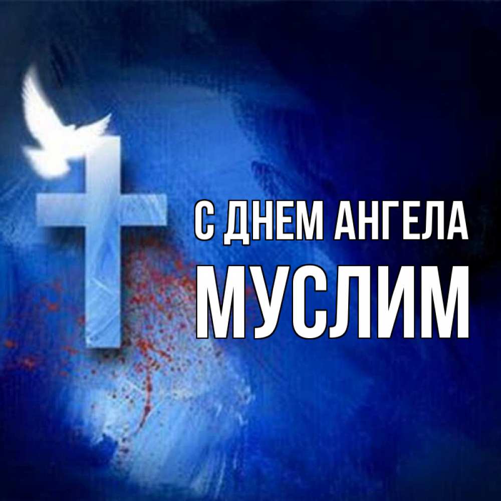 Открытка на каждый день с именем, Муслим С днем ангела Синий фон и птица Прикольная открытка с пожеланием онлайн скачать бесплатно 