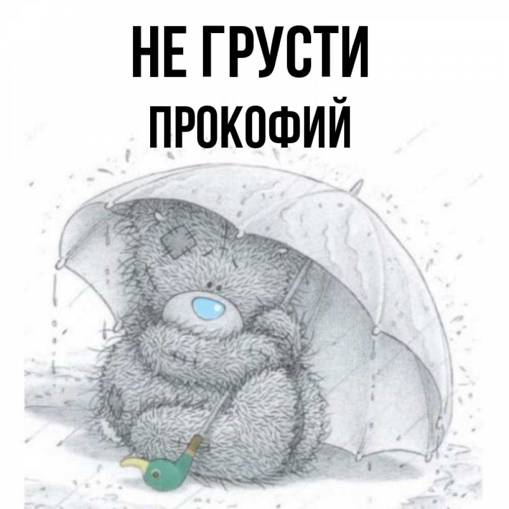 Открытка на каждый день с именем, Прокофий Не грусти спасите мишку Тедди Прикольная открытка с пожеланием онлайн скачать бесплатно 