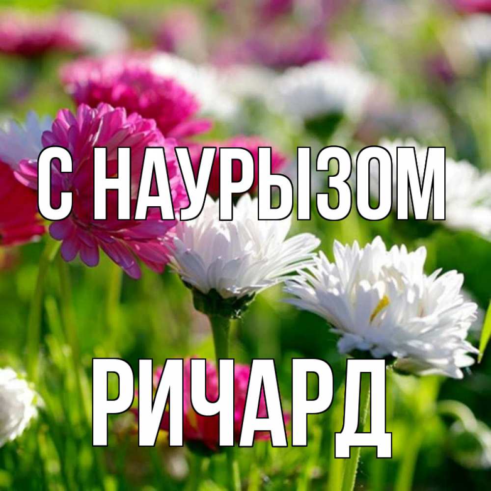 Открытка на каждый день с именем, Ричард С наурызом праздник весны наурыз красота Прикольная открытка с пожеланием онлайн скачать бесплатно 