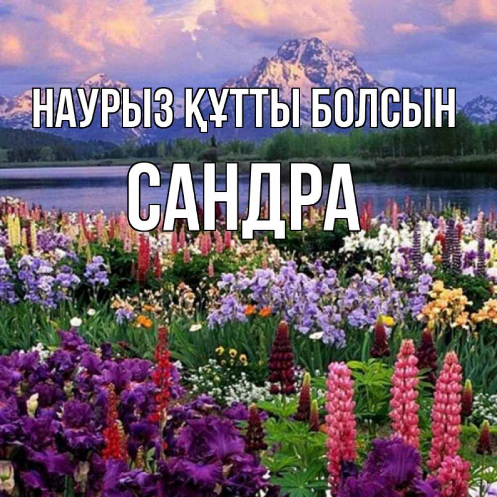 Открытка на каждый день с именем, Сандра Наурыз құтты болсын наурыз Прикольная открытка с пожеланием онлайн скачать бесплатно 