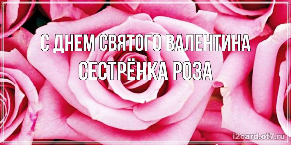 Открытка на каждый день с именем, Сестрёнка-Роза С днем Святого Валентина роза розовая на день Святого Валентина Прикольная открытка с пожеланием онлайн скачать бесплатно 