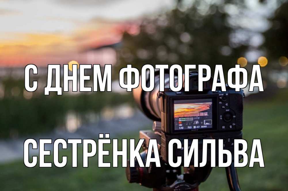 Открытка на каждый день с именем, Сестрёнка-Сильва С днем фотографа с днем фотографа Прикольная открытка с пожеланием онлайн скачать бесплатно 