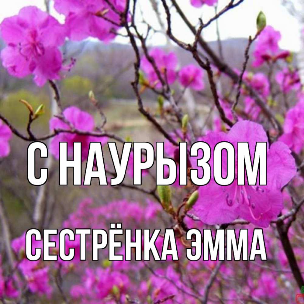 Открытка на каждый день с именем, Сестрёнка-Эмма С наурызом праздник весны наурыз Прикольная открытка с пожеланием онлайн скачать бесплатно 
