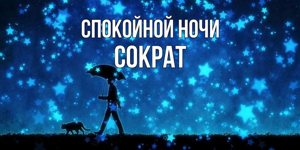 Открытка на каждый день с именем, Сократ Спокойной ночи ночные прогулки с котом под звездами Прикольная открытка с пожеланием онлайн скачать бесплатно 