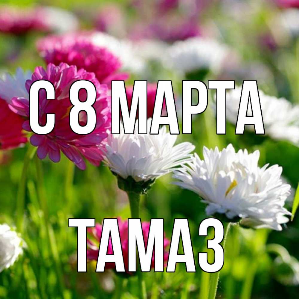 Открытка на каждый день с именем, Тамаз С 8 МАРТА международный женский день 1 Прикольная открытка с пожеланием онлайн скачать бесплатно 
