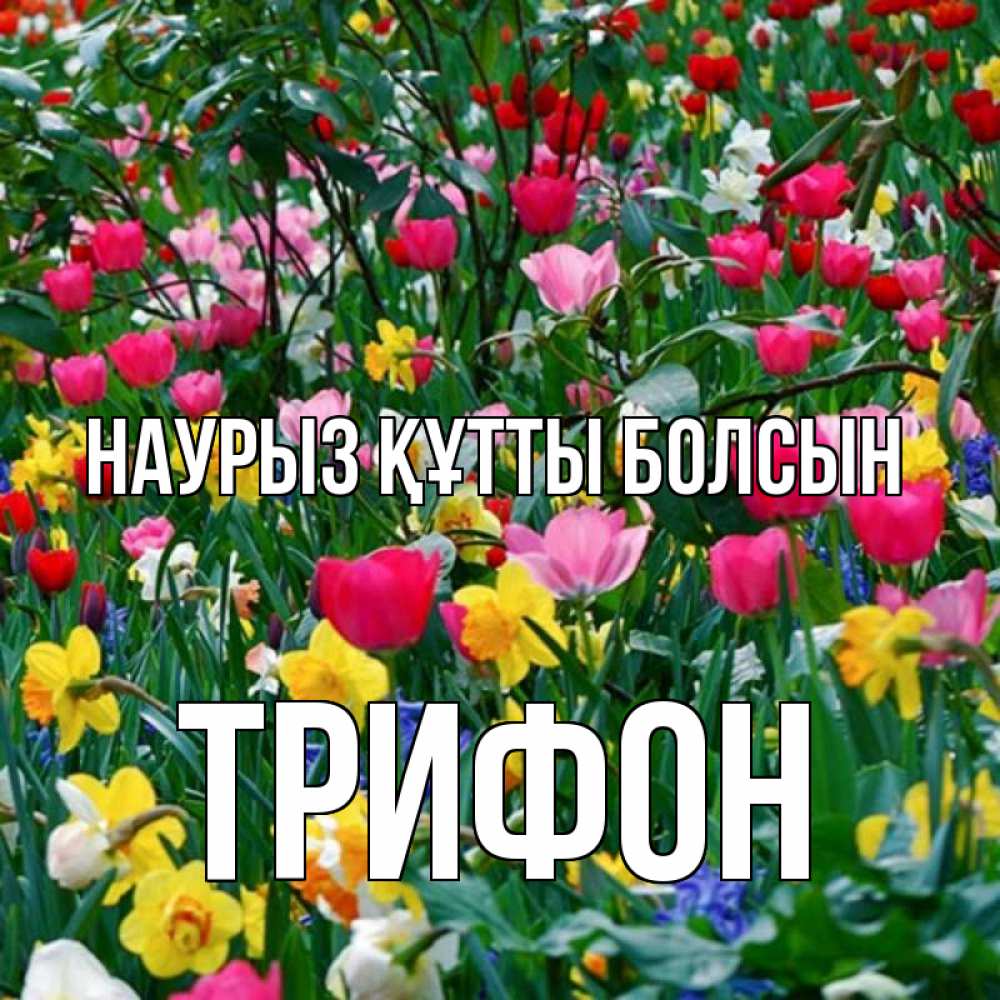 Открытка на каждый день с именем, Трифон Наурыз құтты болсын с наурызом поздравления для женщины Прикольная открытка с пожеланием онлайн скачать бесплатно 
