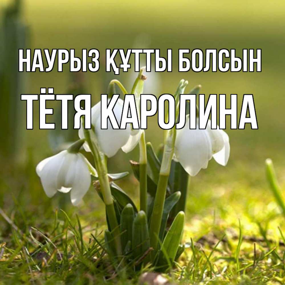 Открытка на каждый день с именем, Тётя-Каролина Наурыз құтты болсын ранние цветы 2 Прикольная открытка с пожеланием онлайн скачать бесплатно 