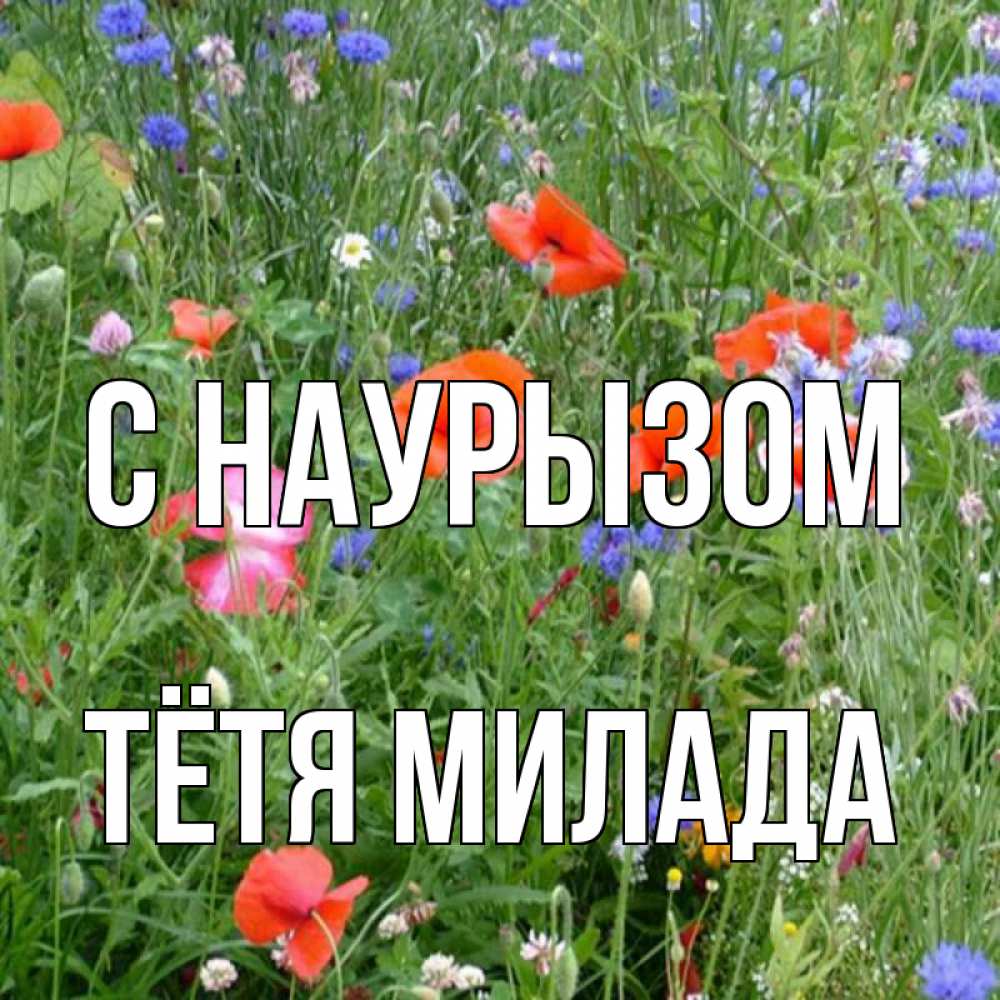 Открытка на каждый день с именем, Тётя-Милада С наурызом праздник весны наурыз супер открытка Прикольная открытка с пожеланием онлайн скачать бесплатно 