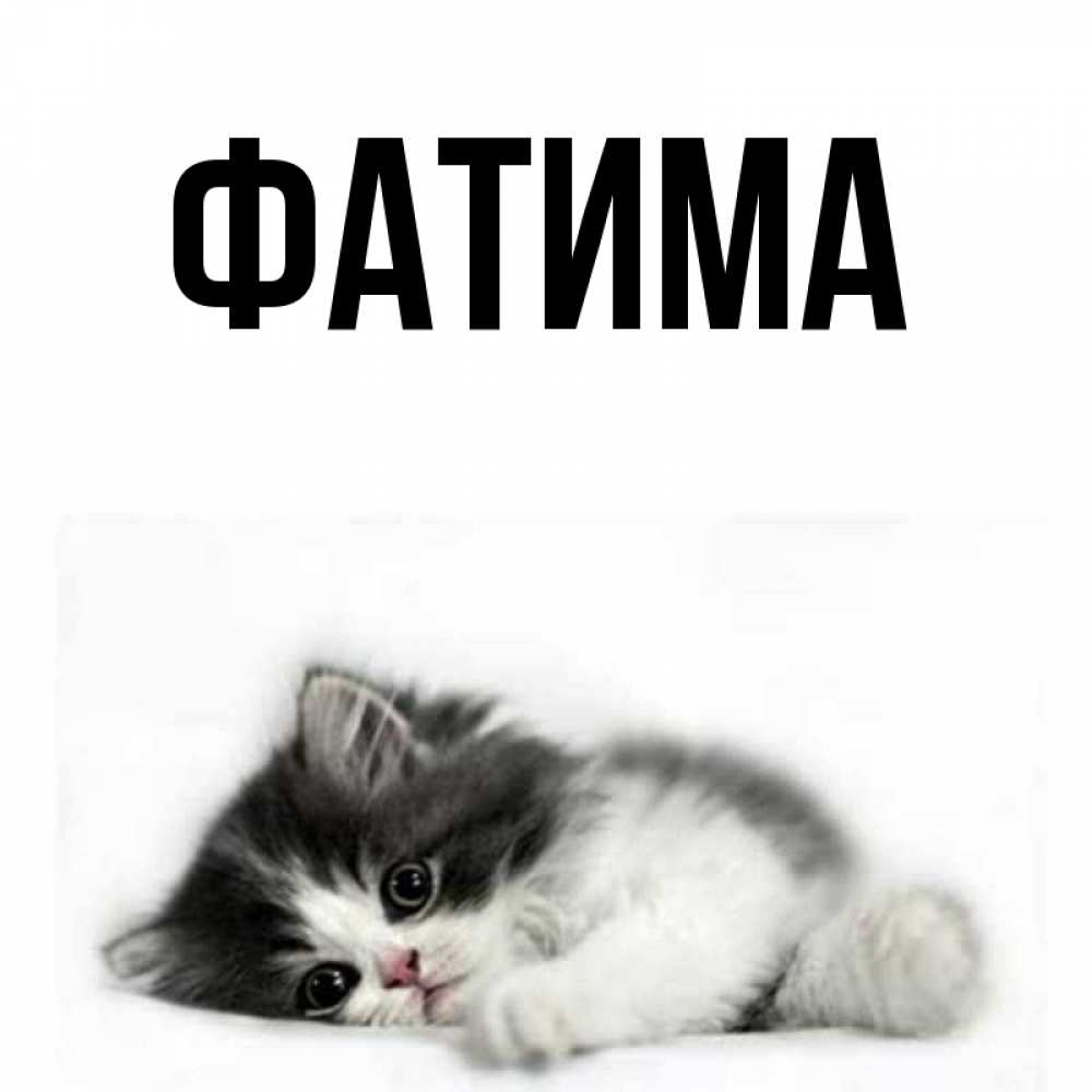 Открытка на каждый день с именем, Фатима Главная кот лапки Прикольная открытка с пожеланием онлайн скачать бесплатно 
