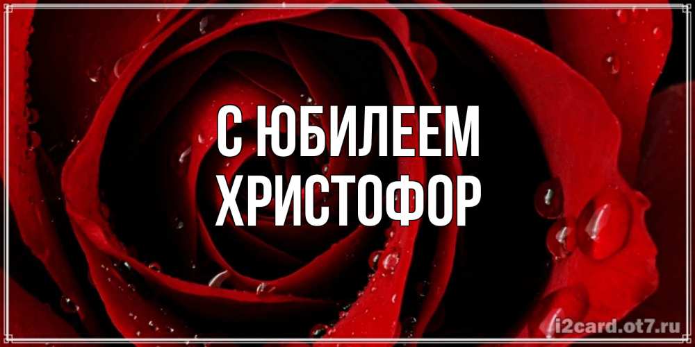 Открытка на каждый день с именем, Христофор С юбилеем крупная бордовая роза Прикольная открытка с пожеланием онлайн скачать бесплатно 