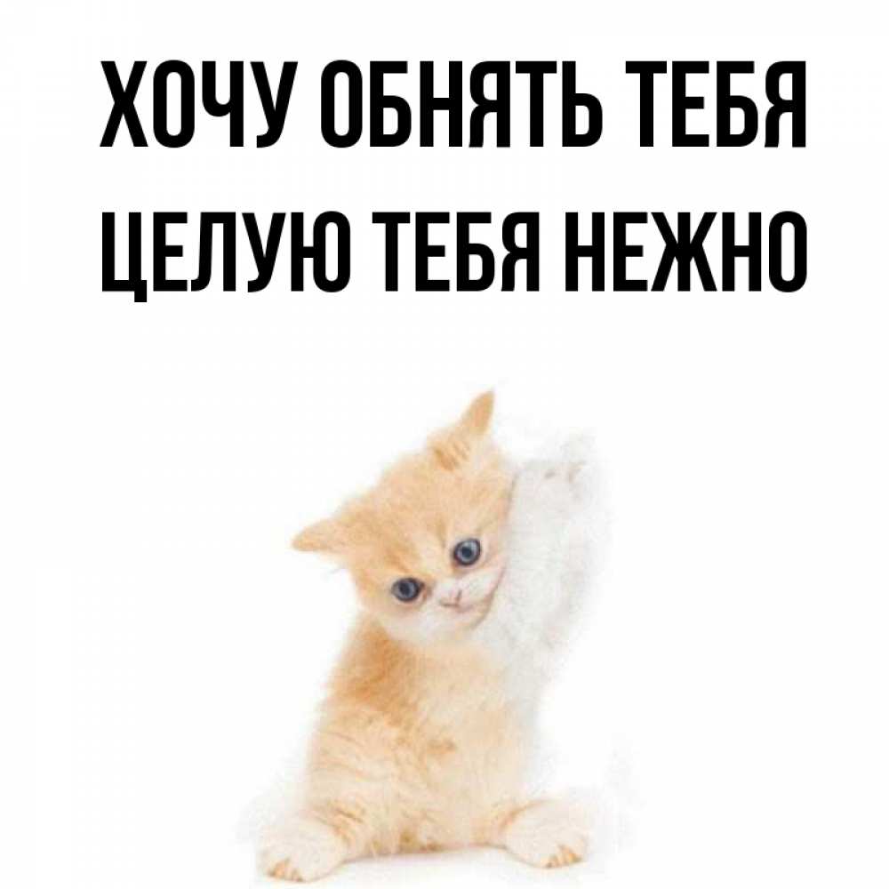 Открытка на каждый день с именем, Целую-тебя-нежно Хочу обнять тебя я хочу очень скорее обнимаешек Прикольная открытка с пожеланием онлайн скачать бесплатно 