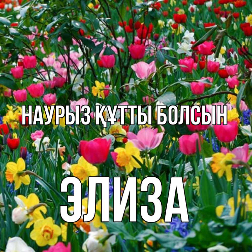 Открытка на каждый день с именем, Элиза Наурыз құтты болсын с наурызом поздравления для женщины Прикольная открытка с пожеланием онлайн скачать бесплатно 