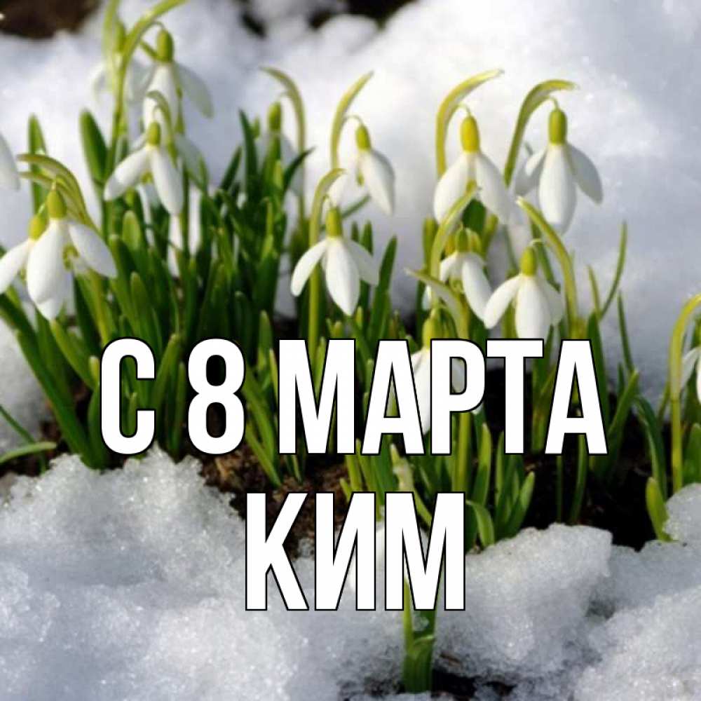 Открытка на каждый день с именем, Ким С 8 марта цветы весенние Прикольная открытка с пожеланием онлайн скачать бесплатно 