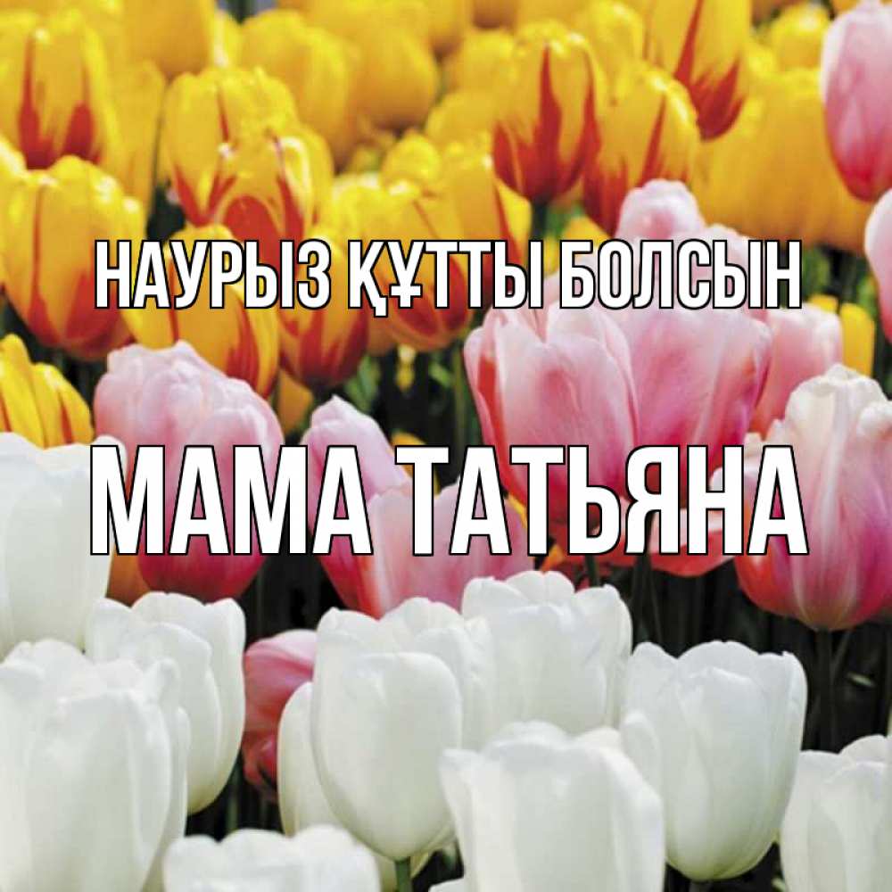 Открытка на каждый день с именем, Мама-Татьяна Наурыз құтты болсын разноцветные цветы Прикольная открытка с пожеланием онлайн скачать бесплатно 