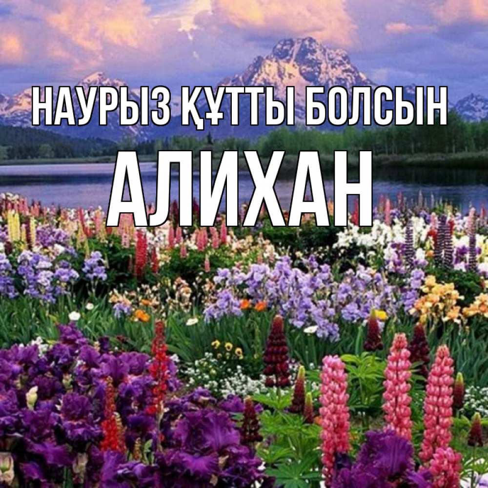 Открытка на каждый день с именем, Алихан Наурыз құтты болсын наурыз Прикольная открытка с пожеланием онлайн скачать бесплатно 