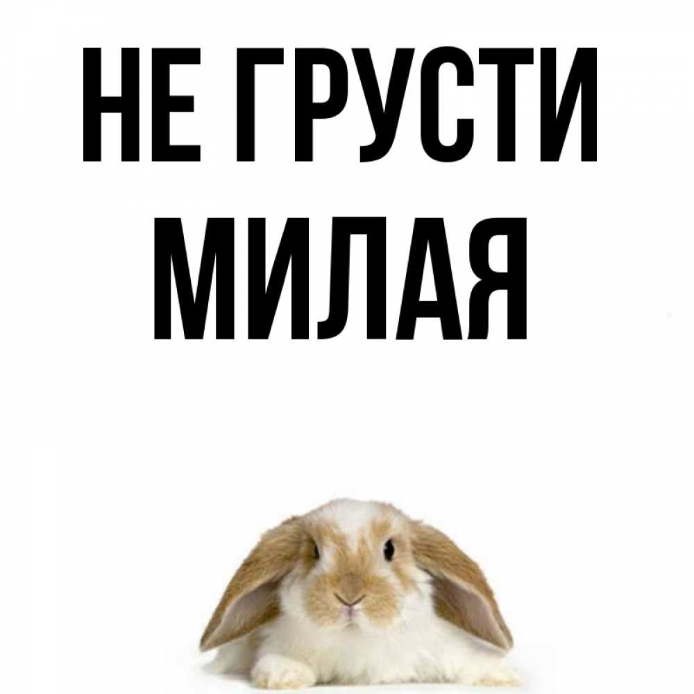 Картинки не грусти милая моя, днем строителя картинках