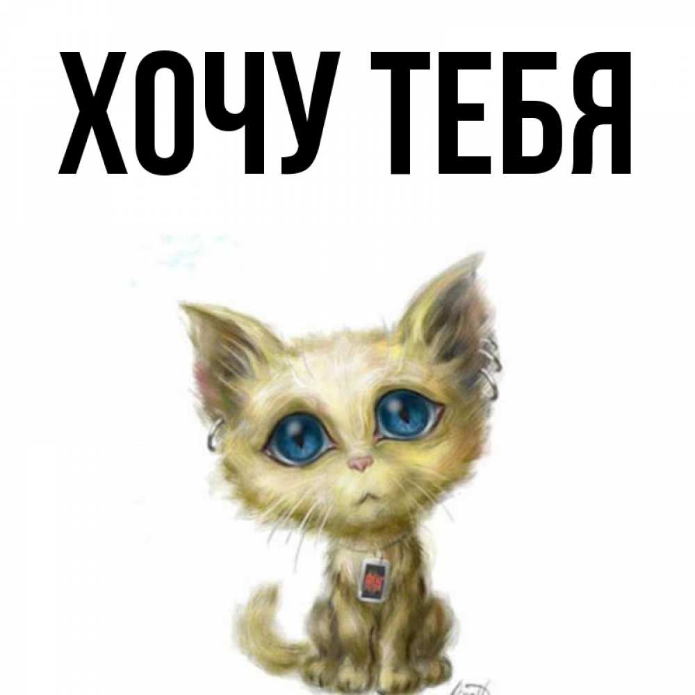 Открытка на каждый день с именем, Хочу-тебя Главная рисованный кот благодарит вас Прикольная открытка с пожеланием онлайн скачать бесплатно 