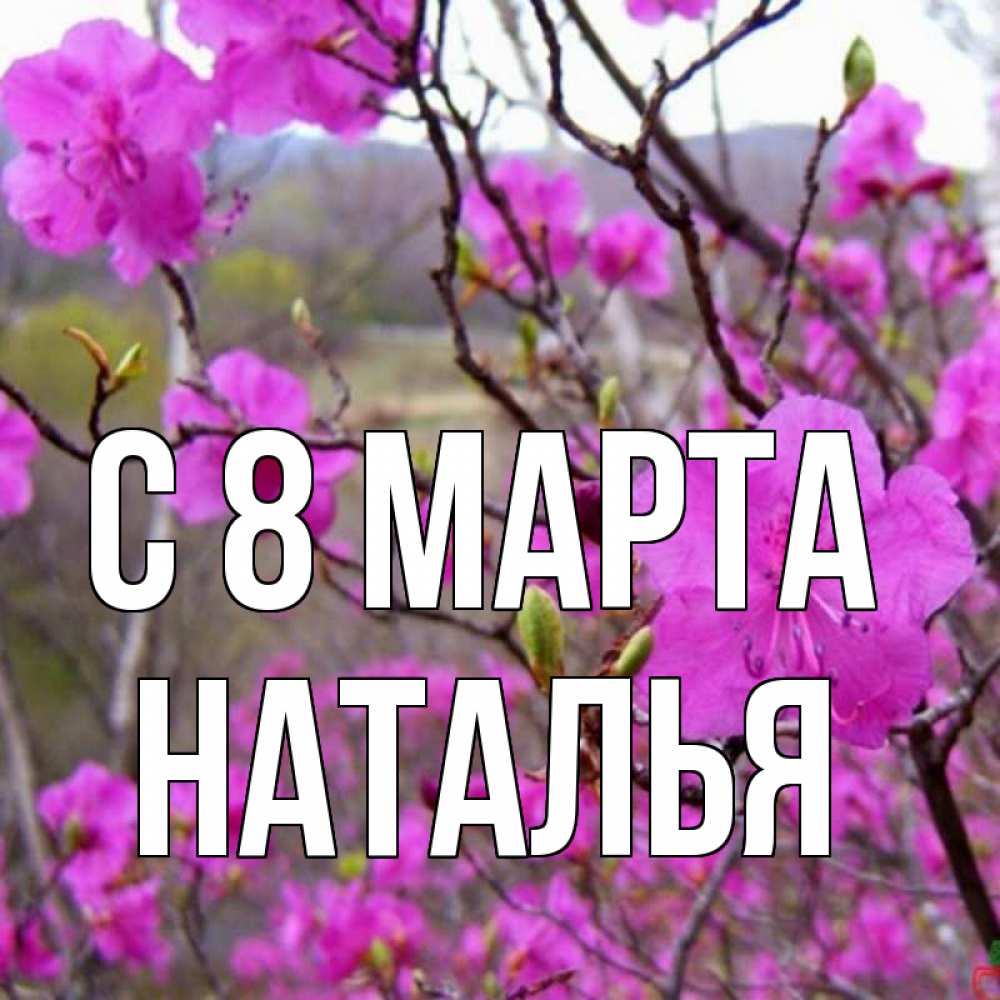 Картинка С 8 МАРТА, НАТАЛЬЯ