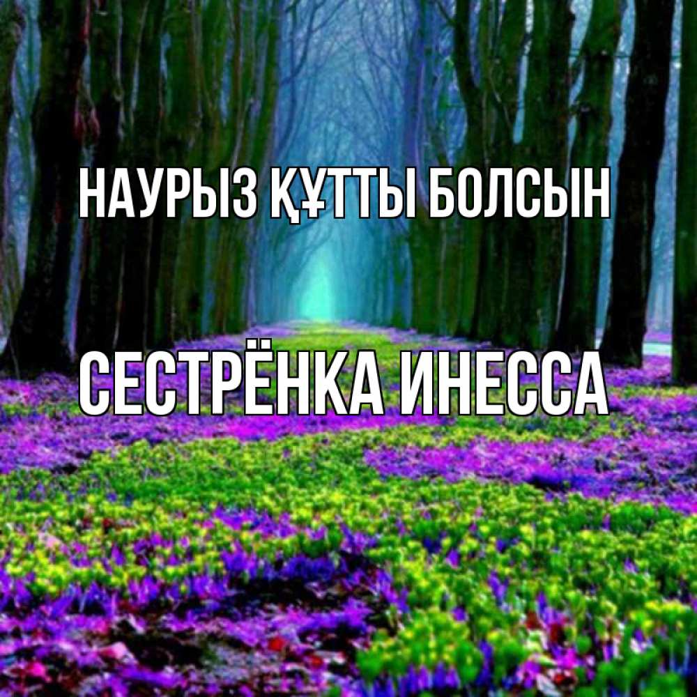 Открытка на каждый день с именем, Сестрёнка-Инесса Наурыз құтты болсын фиолетовые цветы в лесу 1 Прикольная открытка с пожеланием онлайн скачать бесплатно 