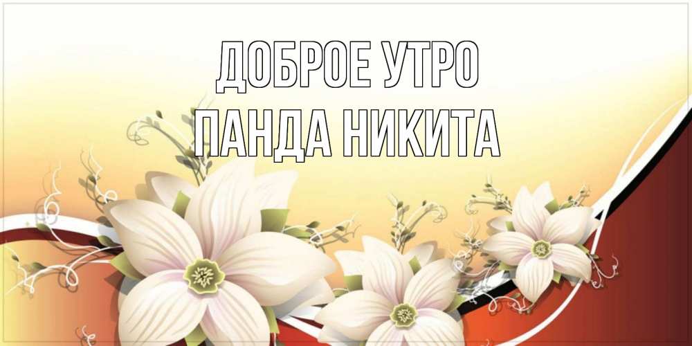 Открытка на каждый день с именем, панда-Никита Доброе утро пожелания доброго утра Прикольная открытка с пожеланием онлайн скачать бесплатно 