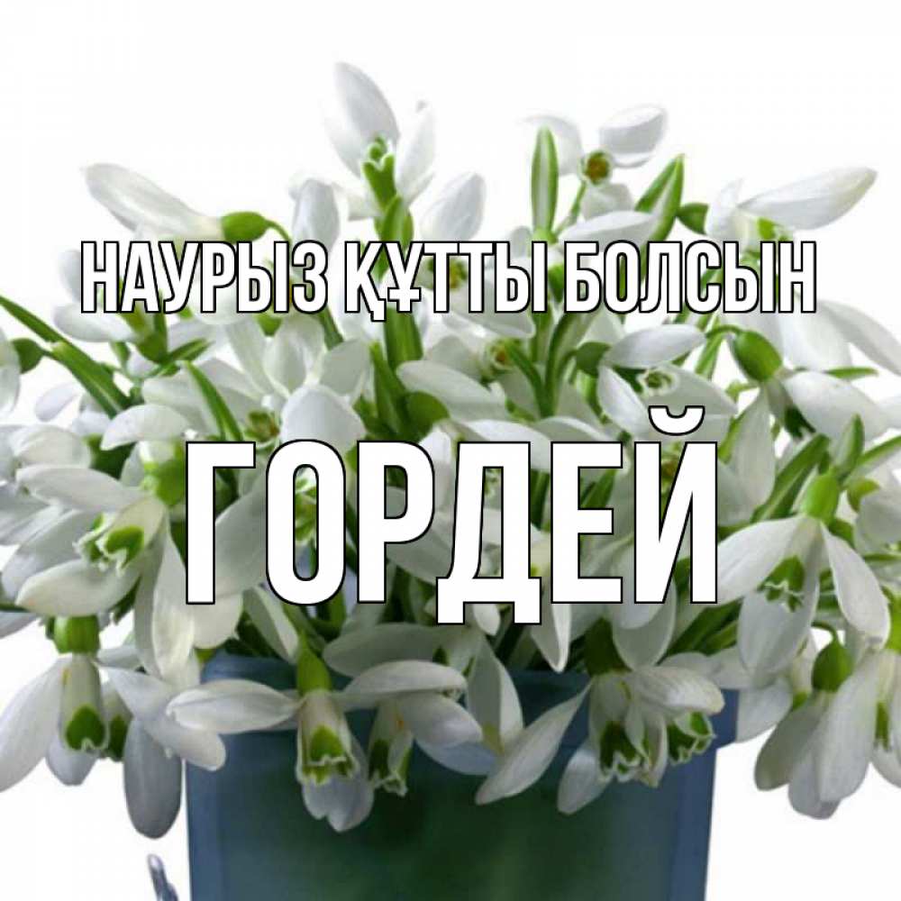 Открытка на каждый день с именем, Гордей Наурыз құтты болсын цветы к наурызу Прикольная открытка с пожеланием онлайн скачать бесплатно 