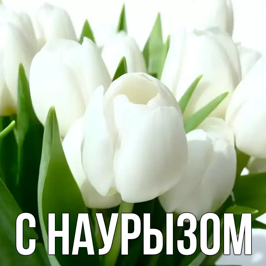 Картинка Наурыз құтты болсын, 