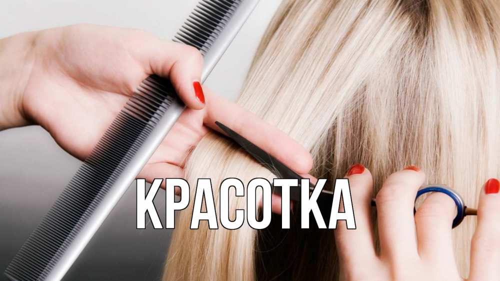 Открытка на каждый день с именем, красотка Главная с днем парикмахера расческа прическа стрижка Прикольная открытка с пожеланием онлайн скачать бесплатно 