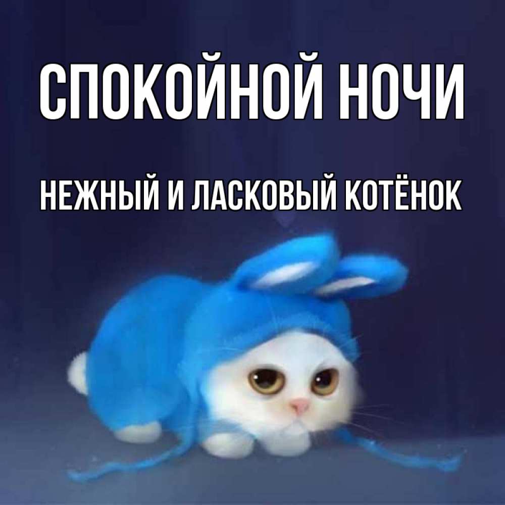 Открытка с именем, Нежный и ласковый котёнок!!, Спокойной ночи