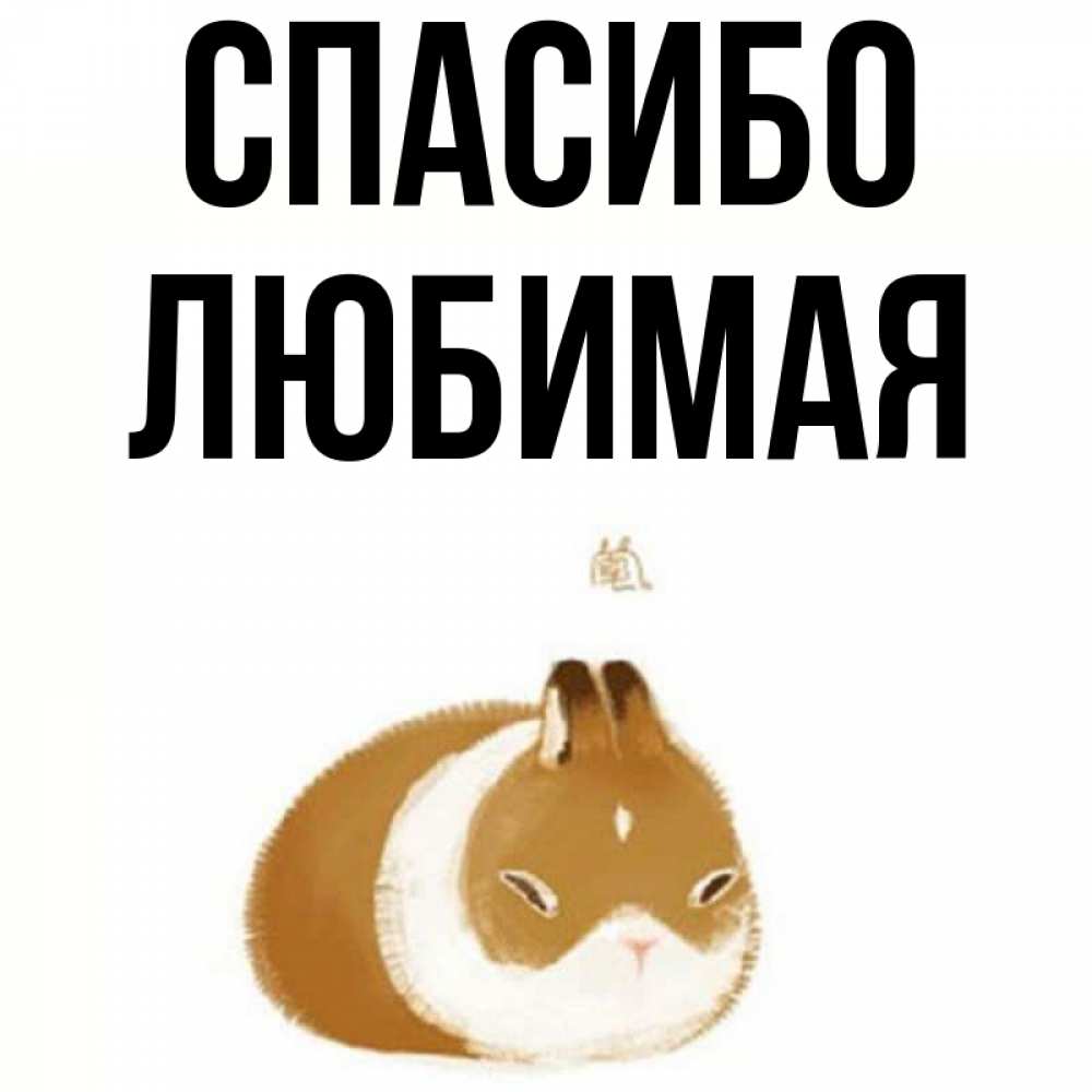 Картинки спасибо я люблю тебя, прикол орел февраля