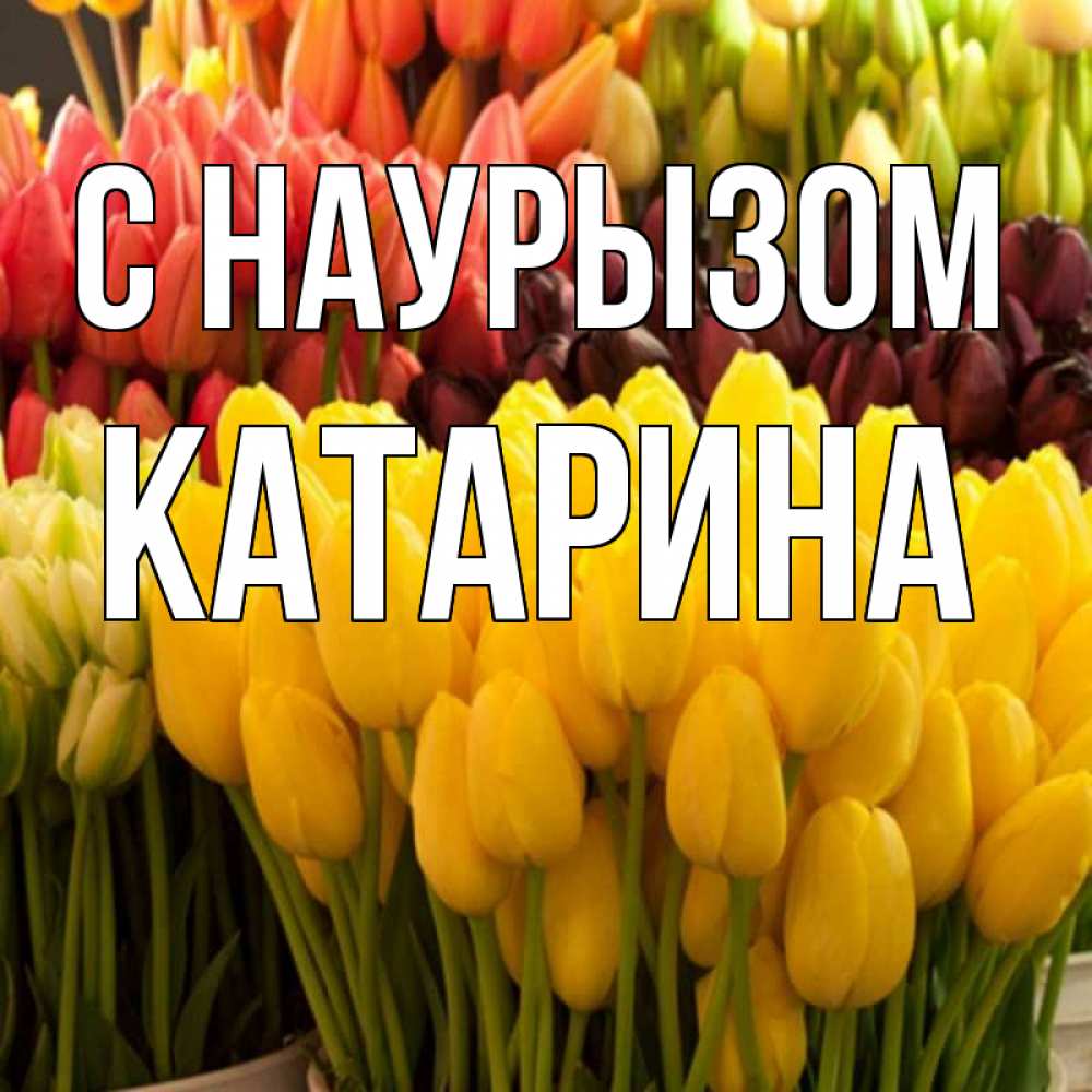 Открытка на каждый день с именем, Катарина С наурызом цветы Прикольная открытка с пожеланием онлайн скачать бесплатно 