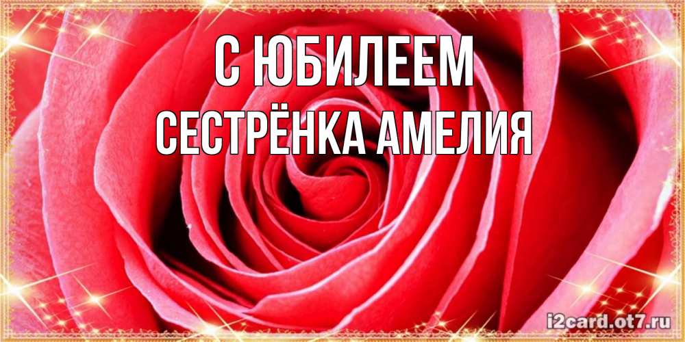 Открытка на каждый день с именем, Сестрёнка-Амелия С юбилеем розовая роза очень крупный бутон Прикольная открытка с пожеланием онлайн скачать бесплатно 