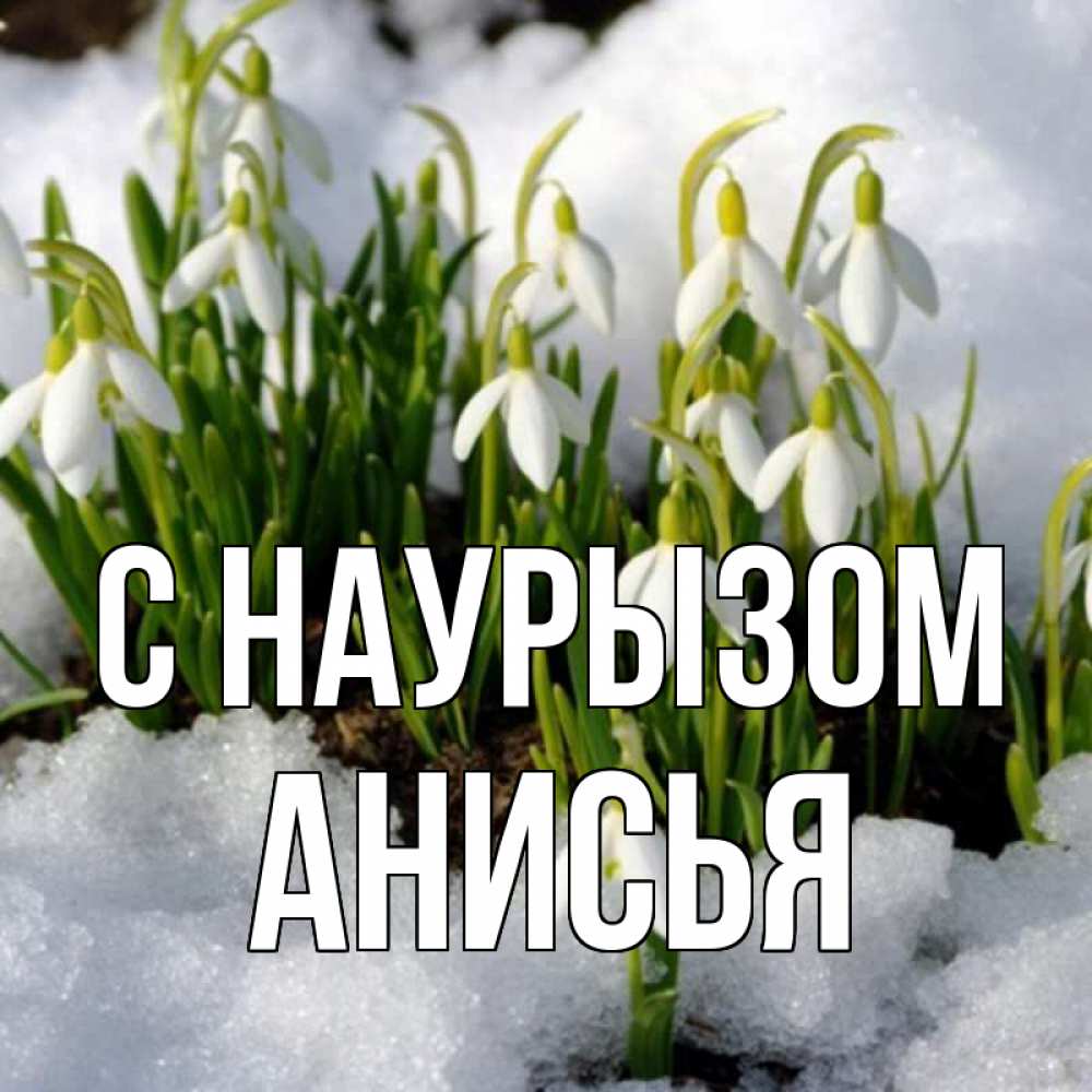 Открытка на каждый день с именем, Анисья С наурызом цветы весенние Прикольная открытка с пожеланием онлайн скачать бесплатно 