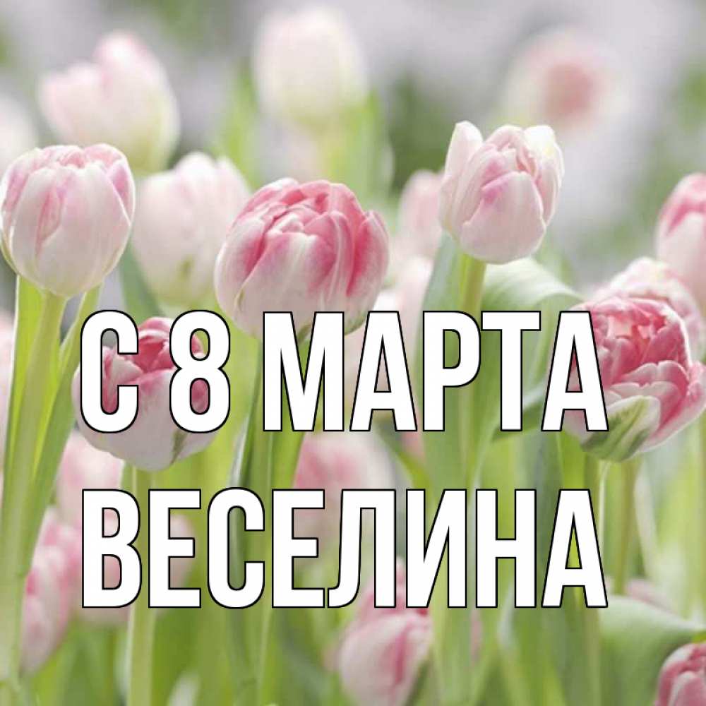 Открытка на каждый день с именем, Веселина С 8 МАРТА цветы Прикольная открытка с пожеланием онлайн скачать бесплатно 
