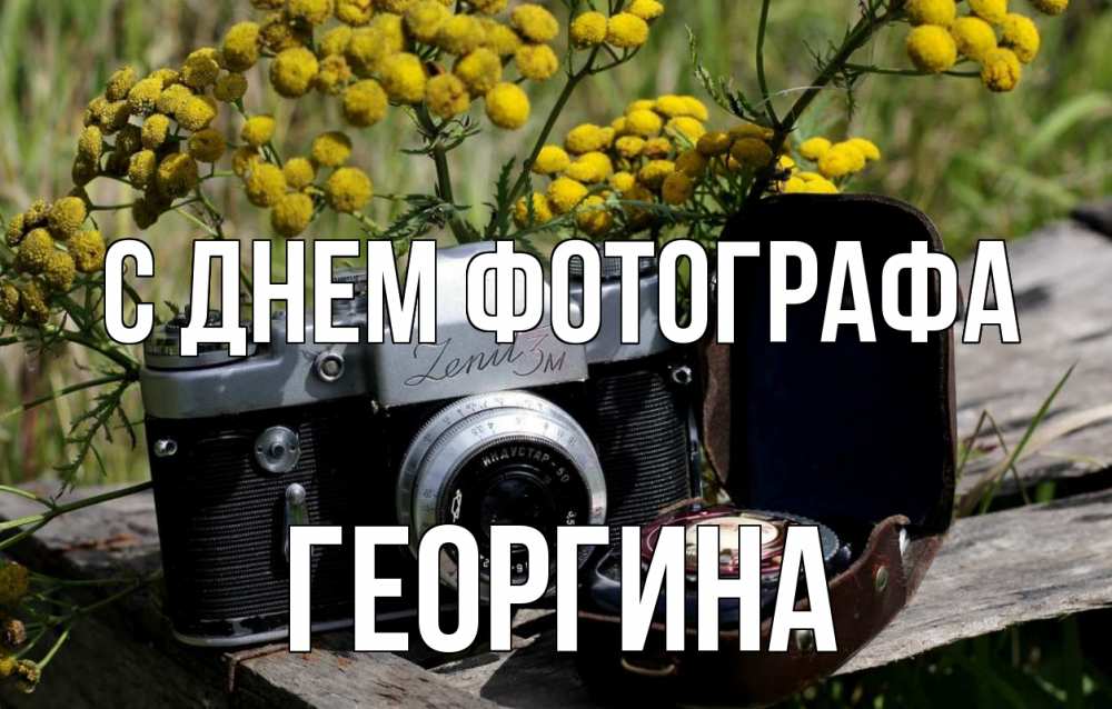 Открытка на каждый день с именем, Георгина С днем фотографа с днем фотографа Прикольная открытка с пожеланием онлайн скачать бесплатно 