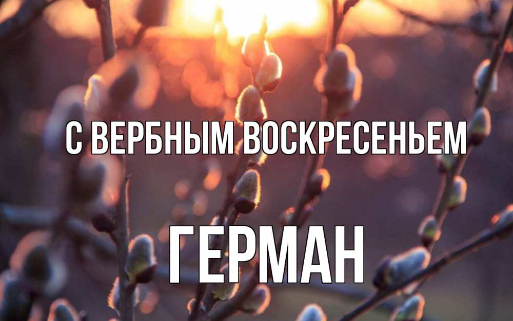 Открытка на каждый день с именем, Герман С вербным воскресеньем верба Прикольная открытка с пожеланием онлайн скачать бесплатно 