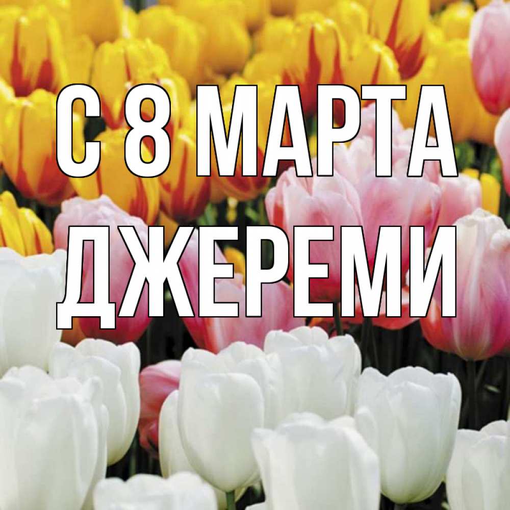 Открытка на каждый день с именем, Джереми С 8 марта разноцветные цветы Прикольная открытка с пожеланием онлайн скачать бесплатно 