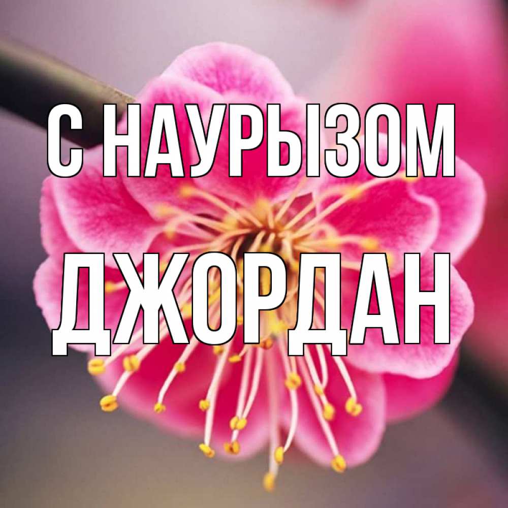 Открытка на каждый день с именем, Джордан С наурызом цветы Прикольная открытка с пожеланием онлайн скачать бесплатно 