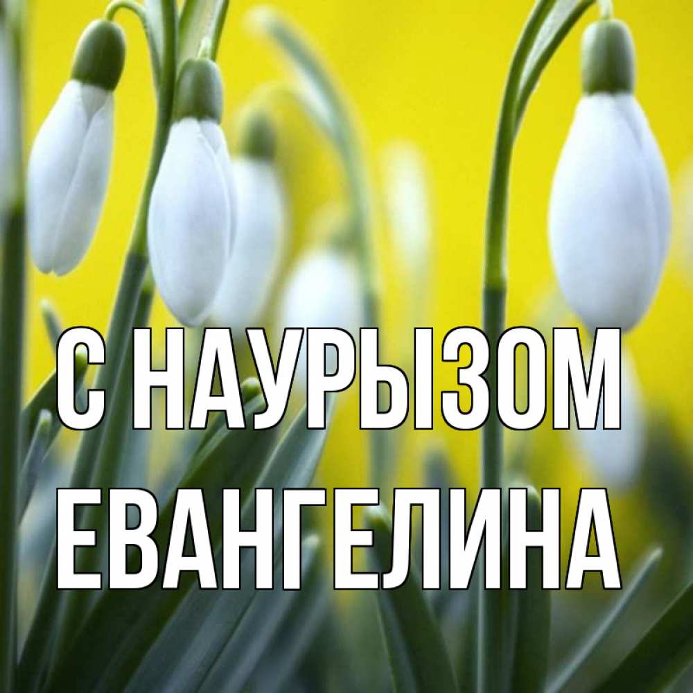 Открытка на каждый день с именем, Евангелина С наурызом весенние цветы Прикольная открытка с пожеланием онлайн скачать бесплатно 