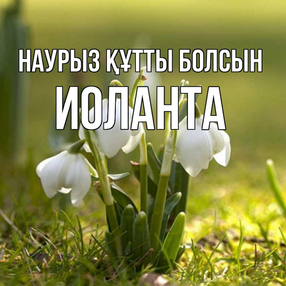 Открытка на каждый день с именем, Иоланта Наурыз құтты болсын ранние цветы 2 Прикольная открытка с пожеланием онлайн скачать бесплатно 