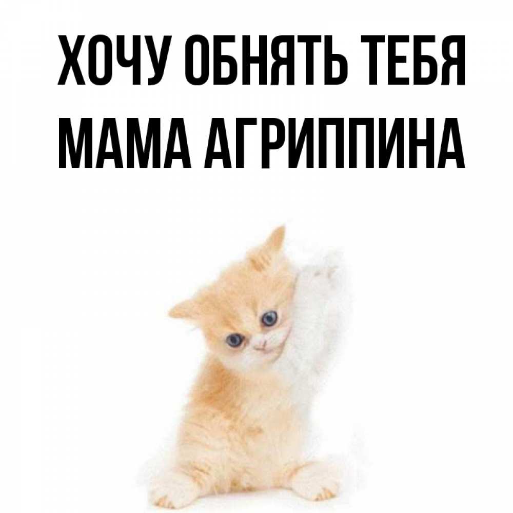 Открытка на каждый день с именем, Мама-Агриппина Хочу обнять тебя я хочу очень скорее обнимаешек Прикольная открытка с пожеланием онлайн скачать бесплатно 