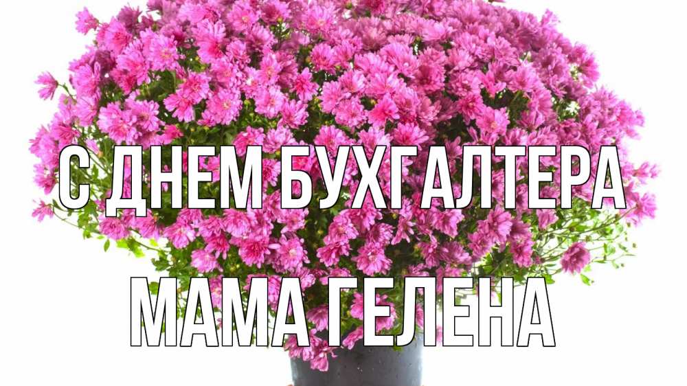 Открытка на каждый день с именем, Мама-Гелена С днем бухгалтера с днем бухгалтера Прикольная открытка с пожеланием онлайн скачать бесплатно 
